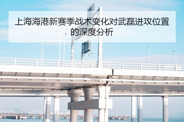 上海海港新赛季战术变化对武磊进攻位置的深度分析